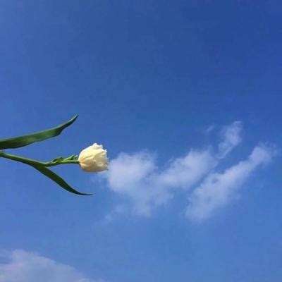 乐鱼电竞下载app下载安卓