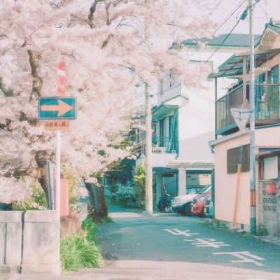 赏金船长免费旋转10次