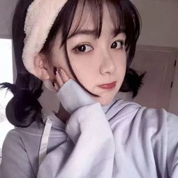 鸿盛app下载