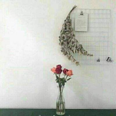 金博宝官网手机