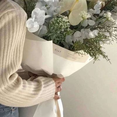小鱼儿二网站玄机