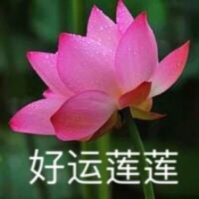 yb平台