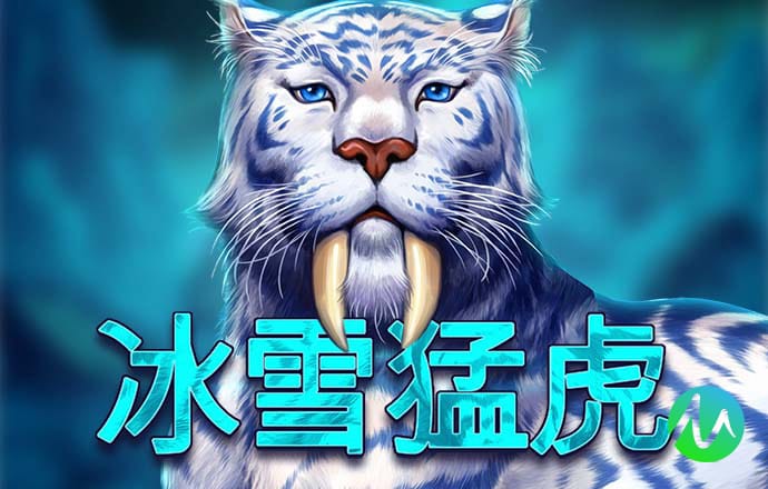 大满贯官方下载