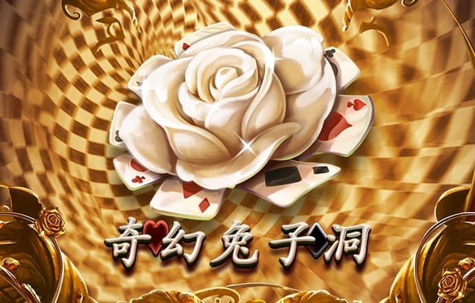 quan28下载官方